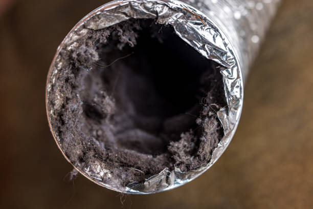 Best Affordable Air Duct Cleaning  in Carey, OH