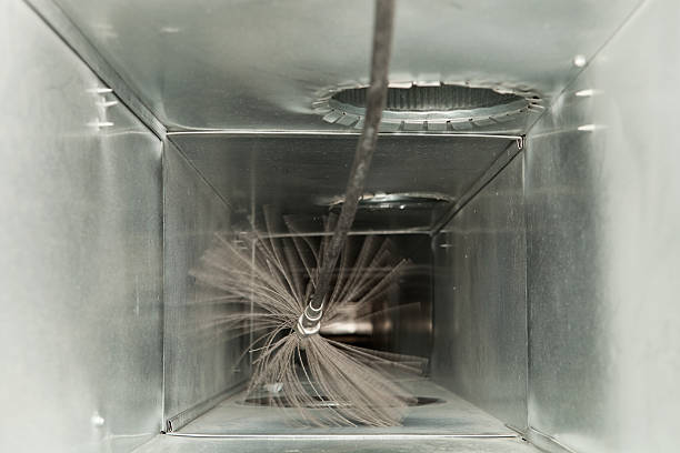 Best Dryer Vent Cleaning Services  in Carey, OH