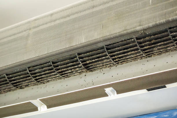 Best Air Duct Cleaning Near Me  in Carey, OH
